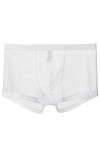Vêtements de Nuit Transparents Taille Basse Bikini Shorts Hommes Lingerie Culotte sans Couture Slips Dentelle sous-vêtements 