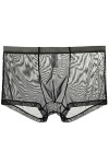Vêtements de Nuit Transparents Taille Basse Bikini Shorts Hommes Lingerie Culotte sans Couture Slips Dentelle sous-vêtements 