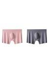 2Pcs Hommes Culottes Hommes Glace Soie Boxers sans coutureSous-vêtements Homme Ultra-Mince Respirant Boxer Shorts Homme sous-