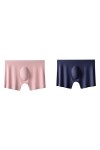 2Pcs Hommes Culottes Hommes Glace Soie Boxers sans coutureSous-vêtements Homme Ultra-Mince Respirant Boxer Shorts Homme sous-