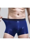 Hommes Glace Soie sans Couture Boxer Pochette Vêtements de Nuit sous-vêtements Respirants Pantalon Shorts Confortable Bulge C