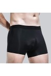 Hommes Glace Soie sans Couture Boxer Pochette Vêtements de Nuit sous-vêtements Respirants Pantalon Shorts Confortable Bulge C