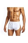 SARGE Pantalon Pantalon Homme Slip Boxer Homme Boxer Maison sous-vêtements