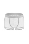DDSCOLOUR Boxer Homme Sexy Slips Shorts Sous-vêtements Transparent Briefs [Noir Large]