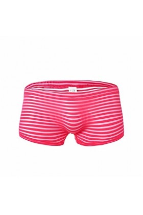 BaronHong sous-vêtements Skimpy pour Hommes Sexy Stripe Mesh See Through Sheer Boxer Briefs 3-Pack A , XL 