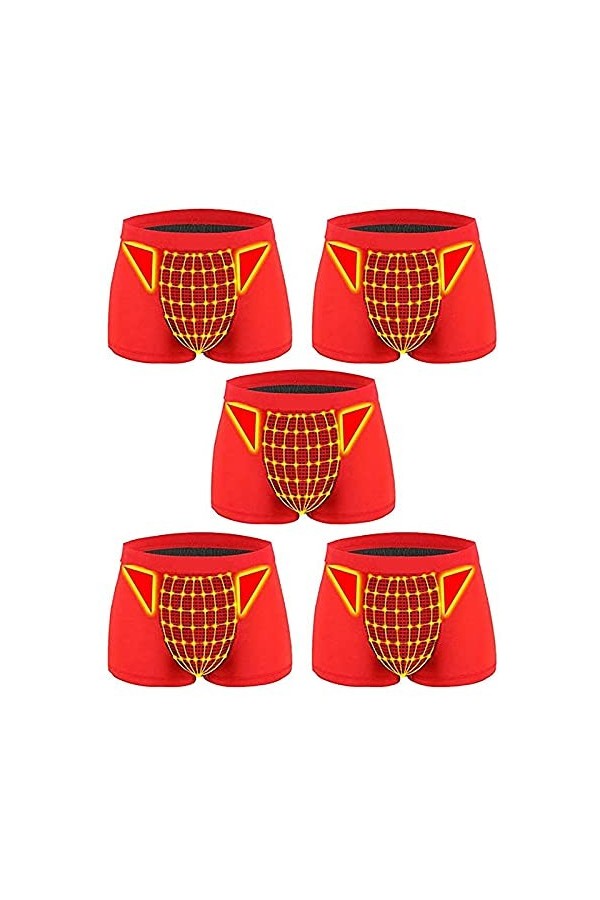 5 Pièces Thérapie Magnétique Santé Hommes Slips avec Poche Bombée Boxer Glace Soie Respirant Hommes sous-Vêtements Sexy Théra