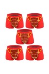 5 Pièces Thérapie Magnétique Santé Hommes Slips avec Poche Bombée Boxer Glace Soie Respirant Hommes sous-Vêtements Sexy Théra