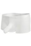 Générique Ice Silk Elephant Boxer Briefs Hommes Sexy Bulge Pouch Respirant Strings Culottes Taille Basse U Convexe Jockstrap 