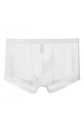 Générique sous-vêtements Fins en Maille pour Hommes Slips à lanières sous-vêtements Semi-Transparents Sexy Transparents Bikin