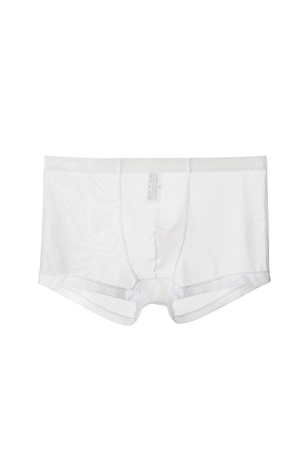 Générique sous-vêtements Fins en Maille pour Hommes Slips à lanières sous-vêtements Semi-Transparents Sexy Transparents Bikin