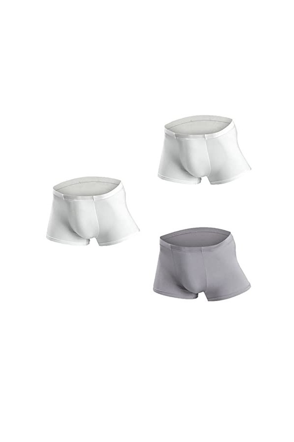 Hommes sous-vêtements de sous-vêtements de glace en soie boxer sans couture shorts de boxer u convex soft 3d sexy samis mascu