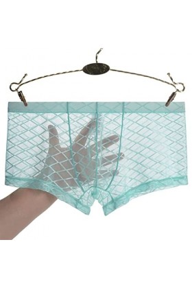FREVA sous-vêtements Boxers Caleçons Slips Strings Mens Sexy Boxer Mesh Brief Color : Light Blue, Size : XL 