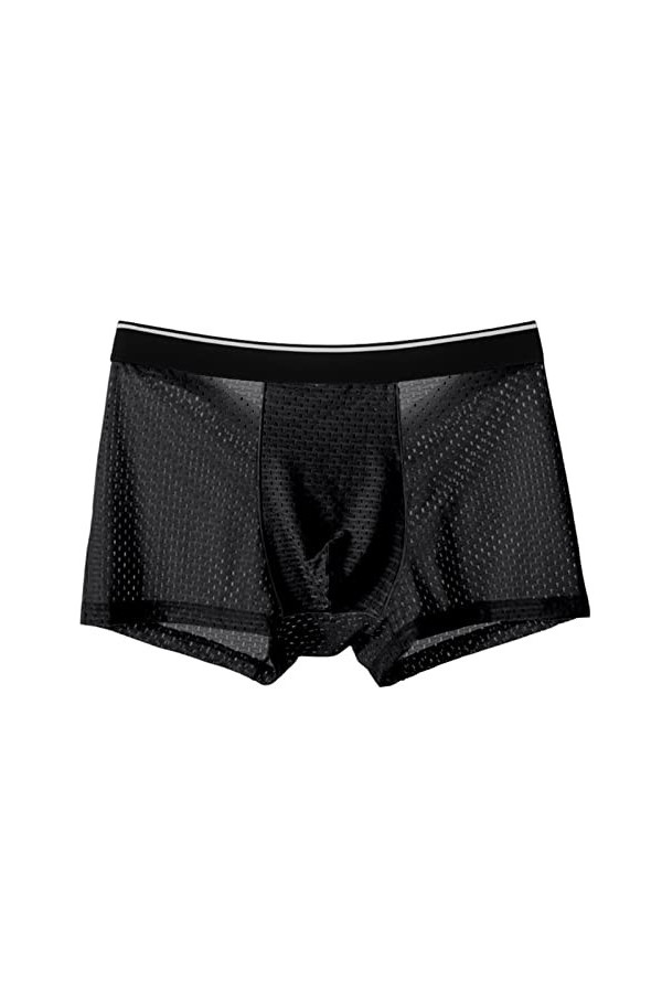 NAZARR Big Men Ice Silk Underwear Mesh Sexy Respirant Un Short Boxeur Transparent Semi Les mémoires Masculins Skinny Stretch 