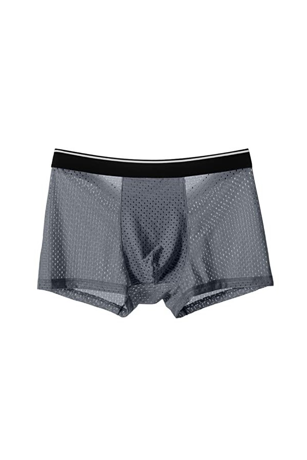 NAZARR Big Men Ice Silk Underwear Mesh Sexy Respirant Un Short Boxeur Transparent Semi Les mémoires Masculins Skinny Stretch 