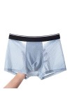 NAZARR Big Men Ice Silk Underwear Mesh Sexy Respirant Un Short Boxeur Transparent Semi Les mémoires Masculins Skinny Stretch 