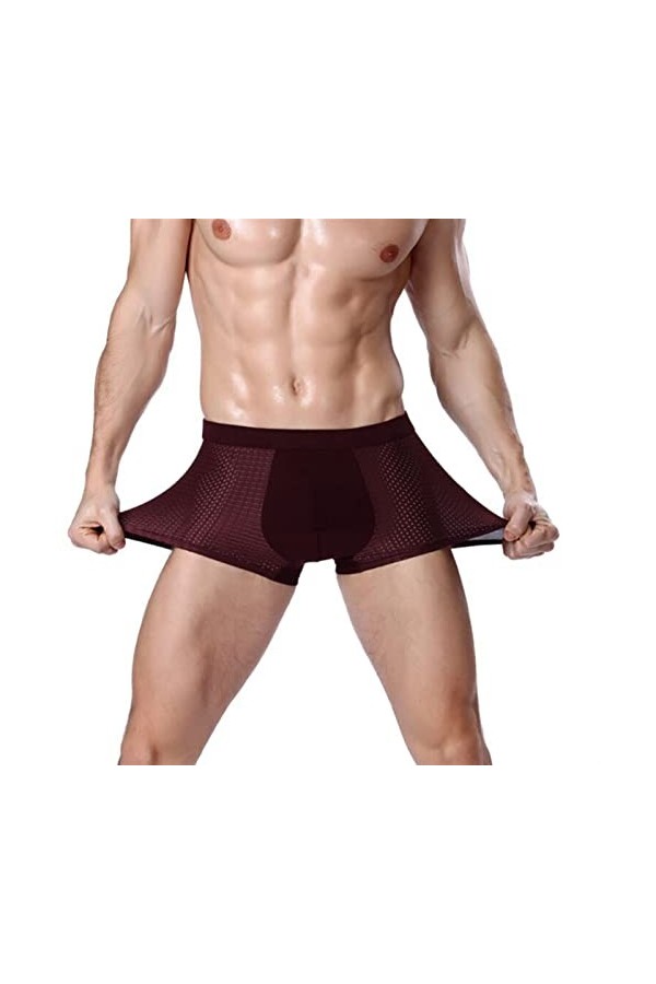 FREVA sous-vêtements Boxers Caleçons Slips Strings 1PCS / Lots Sexy Underwear Men Boxer Brief L-XXXL Boxershorts Big Mesh Men