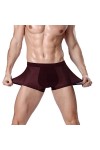 FREVA sous-vêtements Boxers Caleçons Slips Strings 1PCS / Lots Sexy Underwear Men Boxer Brief L-XXXL Boxershorts Big Mesh Men