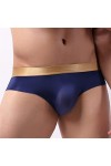 Pantalons De Lingerie Hommes Sexyr Briefs Ice Silk U Convex Terre ElasticMiddle Couleur Solide sans Couture Culottes Aux Jamb