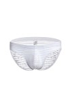 BaronHong Mens Skimpy Briefs Underwear Sexy Stripe Mesh See Through Briefs Noir, L 