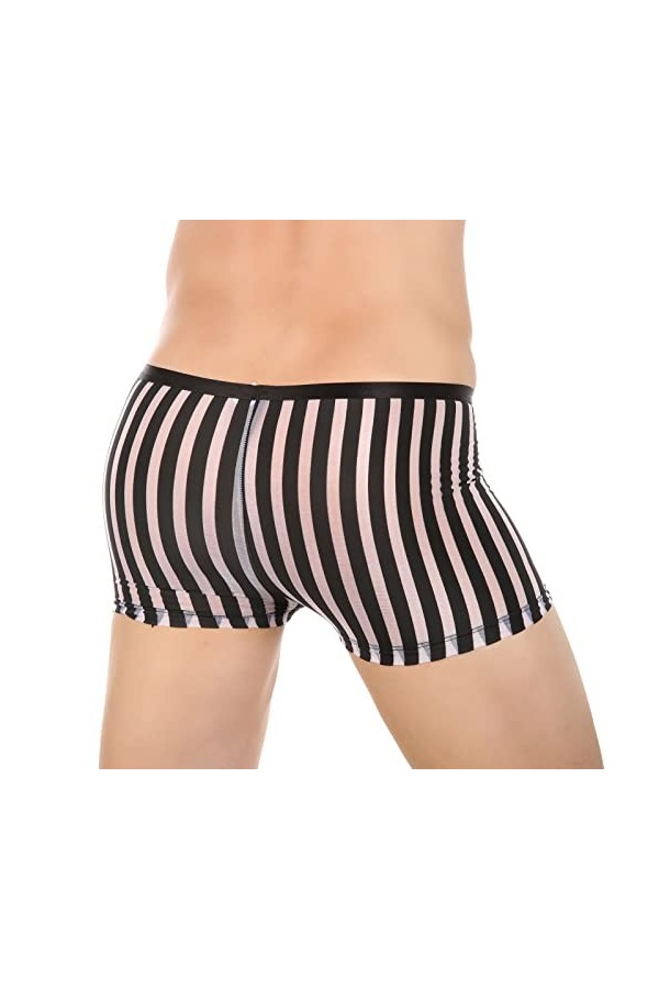 Générique Boxers pour Hommes Culottes Sexy Interband Respirant Briefs Striped Clear Mesh Boxers Briefs sous-vêtements Short G