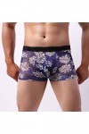 Générique Boxer en Dentelle tricotée Sexy Taille Basse Respirante pour Hommes de Couleur Unie Microfibre Homme