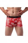 Calecon Homme Coton Boxer en Dentelle tricotée Sexy Taille Basse Respirante pour Hommes de Couleur Unie sous-vêtements Hommes