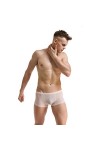 WEITING Sexy Hommes sous-Vêtements Glace Soie Mini Boxer Shorts Culotte Ultra Mince Transparente Voir à Travers Les sous-Vête