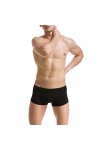WEITING Sexy Hommes sous-Vêtements Glace Soie Mini Boxer Shorts Culotte Ultra Mince Transparente Voir à Travers Les sous-Vête