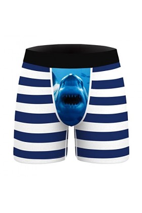 String Homme Sexy Hot Dentelle Slips Boxer Hommes Jeune Adulte Roman Dessin animé Motif Confortable Respirant Boxer Pantalon 