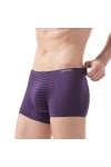 MACIUM Sangle Jock pour Homme sous-vêtements pour Hommes Rayé Glace Soie sans Couture Boxer Sexy Grande Taille Ample Boxer Pa