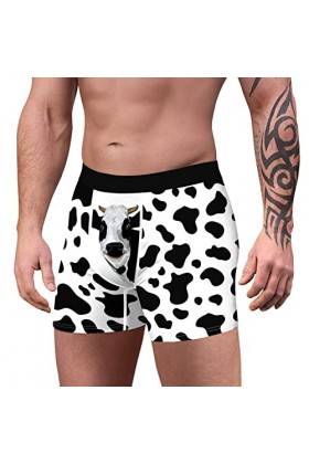 Hommes Jeune Adulte Roman Dessin animé Motif Confortable Respirant Boxer Pantalon Doux Culotte Shorts numérique imprimé Adult