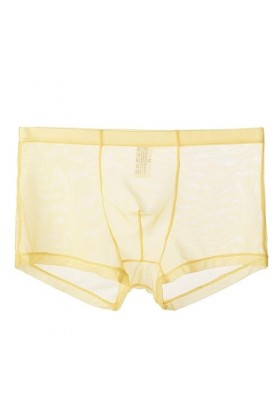 Générique sous-vêtements Fins en Maille pour Hommes Slips à lanières sous-vêtements Semi-Transparents Sexy Transparents Bikin