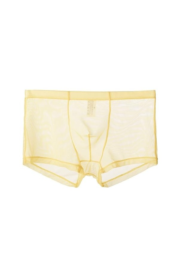 Générique sous-vêtements Fins en Maille pour Hommes Slips à lanières sous-vêtements Semi-Transparents Sexy Transparents Bikin