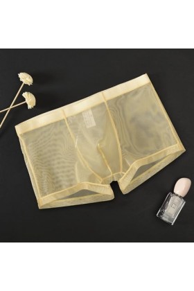 Générique sous-vêtements Fins en Maille pour Hommes Slips à lanières sous-vêtements Semi-Transparents Sexy Transparents Bikin