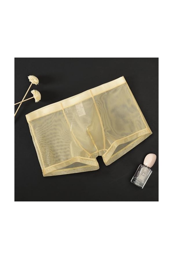 Générique sous-vêtements Fins en Maille pour Hommes Slips à lanières sous-vêtements Semi-Transparents Sexy Transparents Bikin