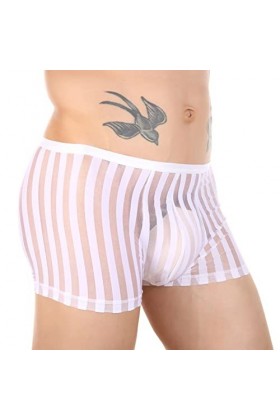 Boxer Homme Sexy Boxers pour Hommes Culottes Sexy Interband Respirant Briefs Striped Clear Mesh Boxers Briefs Boxeurs Aigles