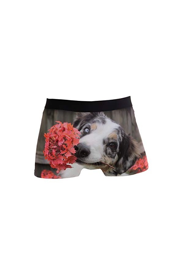 hengpai Boxer pour homme avec imprimé de chevaux - Sous-vêtement doux - Taille courte - vert - X-Large