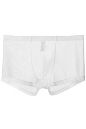 lclvld Boxer Sexy pour Hommes Pantalons Transparents Transparents sous-v괥ments Lingerie Sexy sous-v괥ments Transparents,3pcs-g