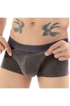 Sous-vêtements gay sexy pour homme ouvert sur le devant avec poche pénis, gris, M