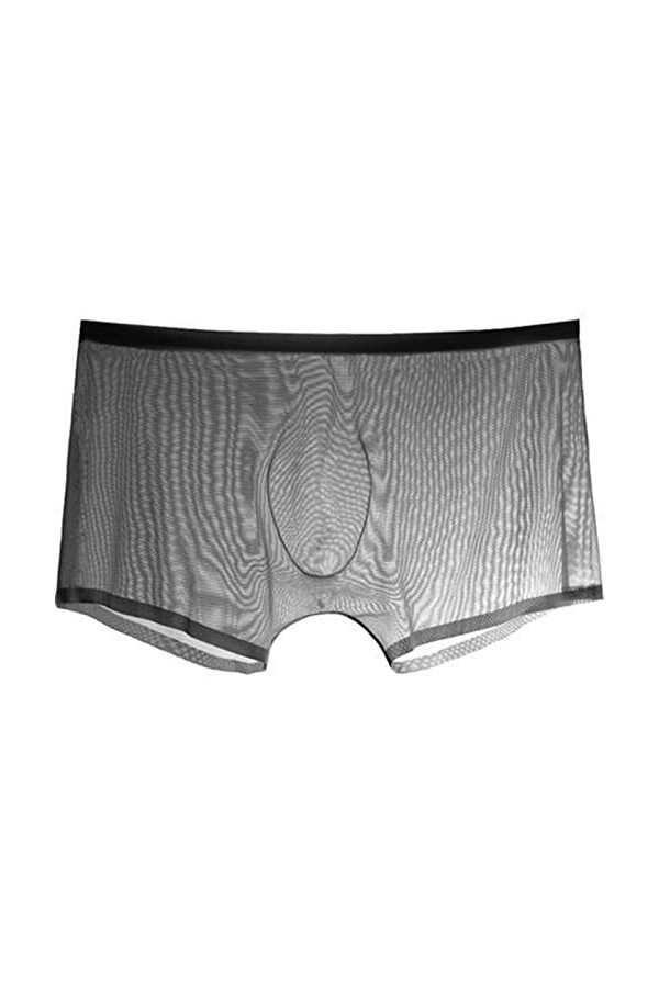 NAZARR Hommes sous-vêtements Boxer Transparent Bulge Ice Silk Voir à Travers Les calendriers Sexy Brief Color : Flesh Color,