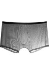 NAZARR Hommes sous-vêtements Boxer Transparent Bulge Ice Silk Voir à Travers Les calendriers Sexy Brief Color : Flesh Color,