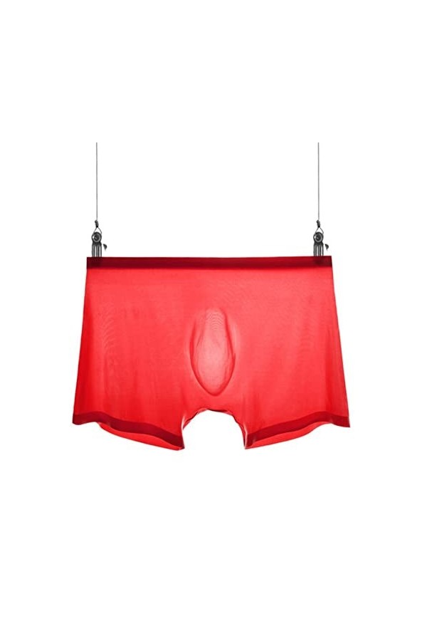 NAZARR Hommes sous-vêtements Boxer Transparent Bulge Ice Silk Voir à Travers Les calendriers Sexy Brief Color : Flesh Color,