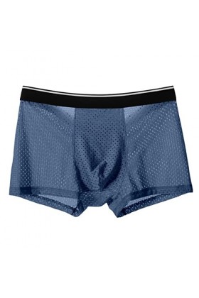 NAZARR Big Men Ice Silk Underwear Mesh Sexy Respirant Un Short Boxeur Transparent Semi Les mémoires Masculins Skinny Stretch 