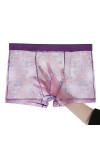 Sous-vêtements Boxers Caleçons Slips Strings Boxers en maille transparente Ice Silk sous-vêtements ultra-mince plus taille mâ