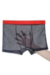 NAZARR Sexy Full Transparent Men Silk sous-vêtements Ultra-Thin Thin Respirant Boxer Trunk Large Taille Shorts sans Couture M