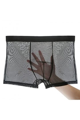NAZARR Boxers en Maille Transparente Ice Silk sous-vêtements Ultra-Mince Plus Taille mâle de Tronc Masculin Respirant Sexy C