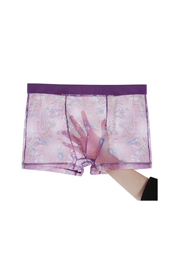 NAZARR Boxers en Maille Transparente Ice Silk sous-vêtements Ultra-Mince Plus Taille mâle de Tronc Masculin Respirant Sexy C