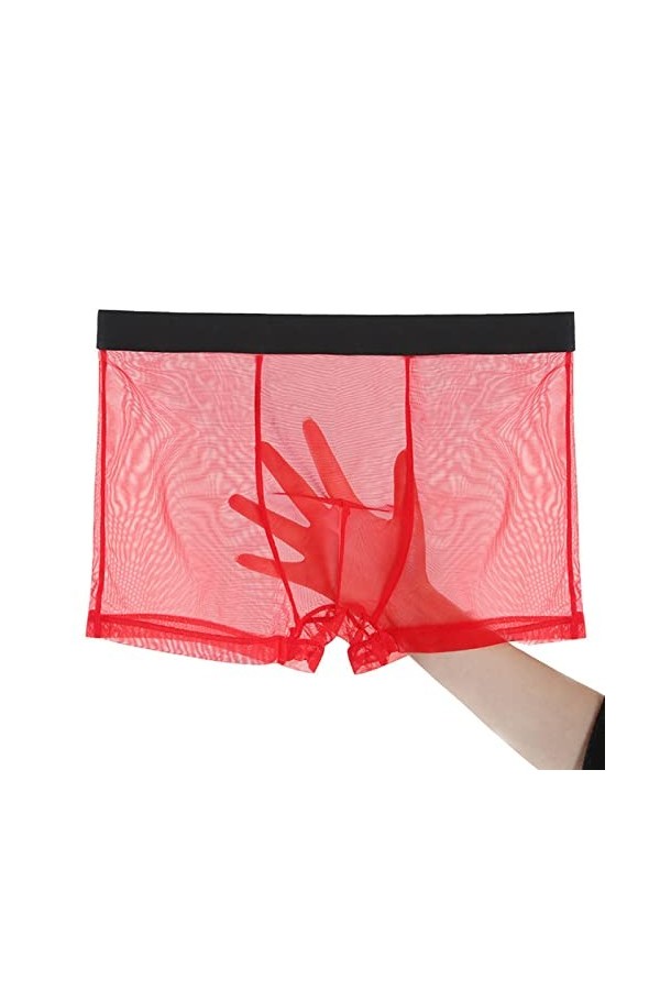 NAZARR Boxers en Maille Transparente Ice Silk sous-vêtements Ultra-Mince Plus Taille mâle de Tronc Masculin Respirant Sexy C