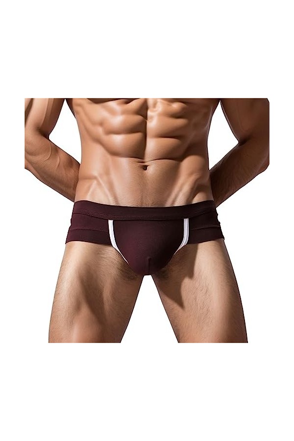 Lingerie Sexy Femme Coquine Hot Grande Taille 2023 Hommes Sexy Coton Shorts sous-vêtements Doux Renflement Pouch Slip Sexy Li