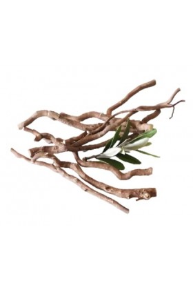 Racines Gouro Pour Homme, cure dent Gouro